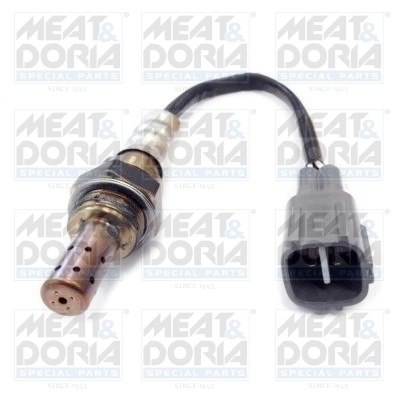Oxygen Sensor